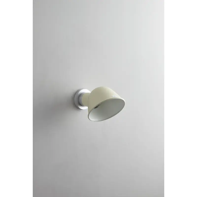 Ginger Wall Light