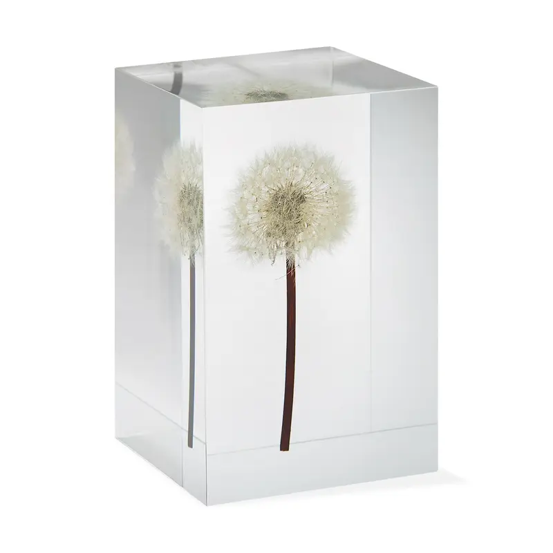 Dandelion Objet d'Art