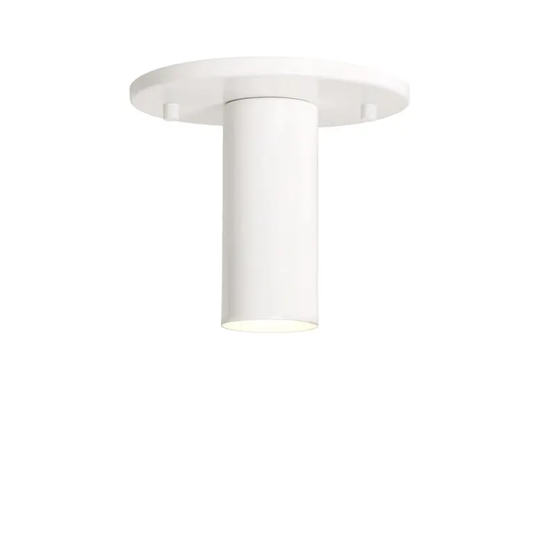 Timberline Spot Surface