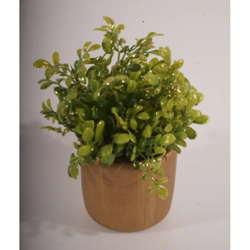 Artificial Boxwood on a Gold Pot