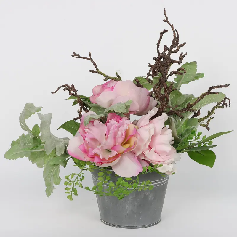 Spring Cabbage Rose on Pot