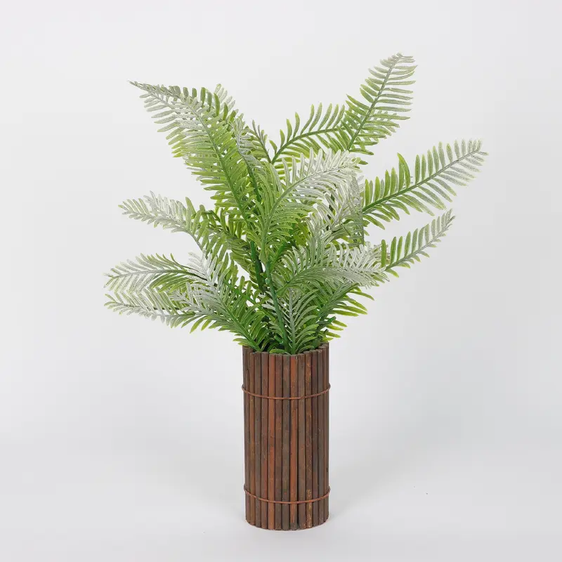 Spring Ferns on Brown Pot