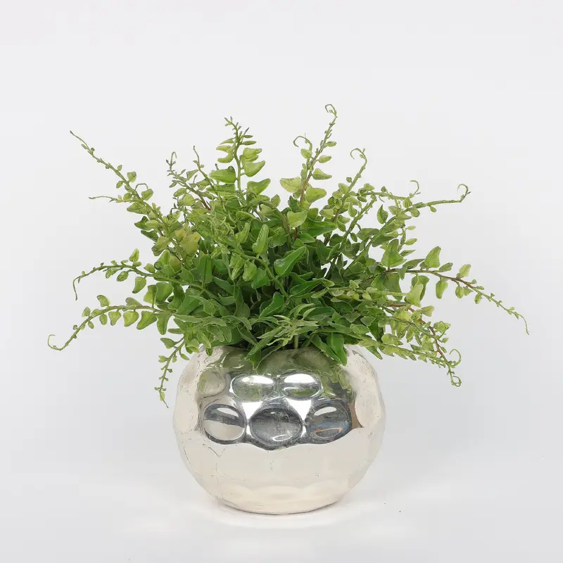 Spring Greeneries on Silver Pot