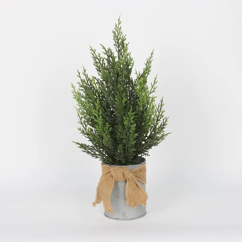 Spring Greenery on Tin Pot