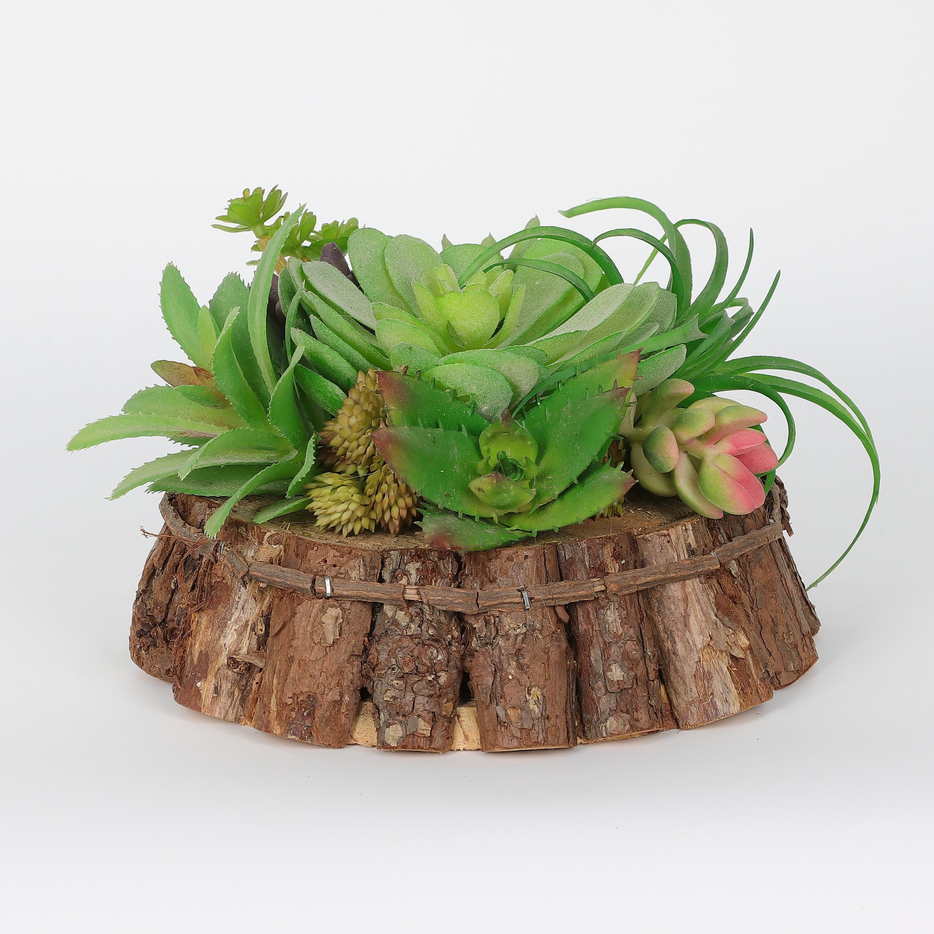 Spring Plant on Wooden Base
