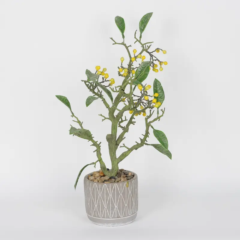 Spring Table Top Plant