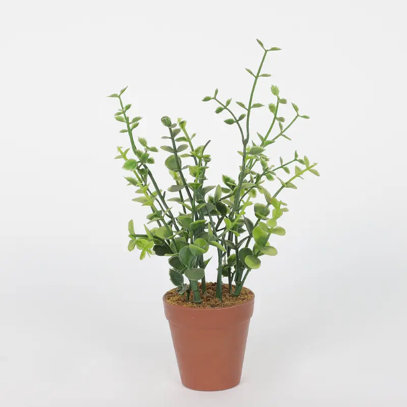 Spring Table Top Plant on Pot