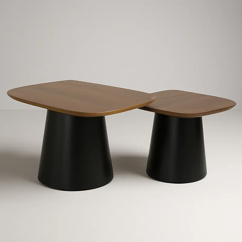 Ella Set of 2 Coffee Table Mango Wood 30045