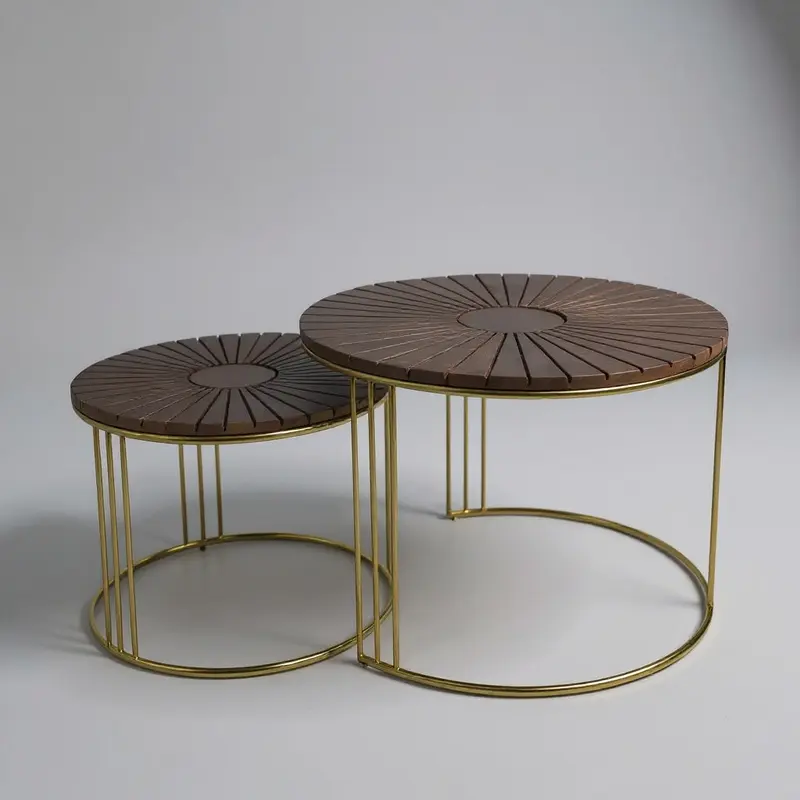 Harris Set of 2 Coffee Table 30017