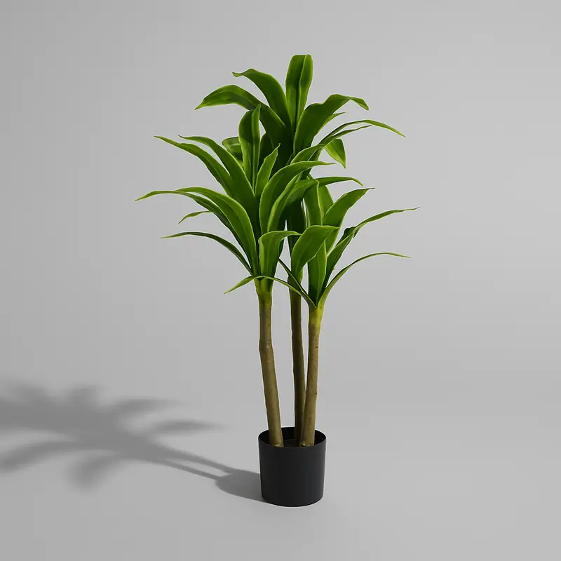 Yellow Brazil Yd1007