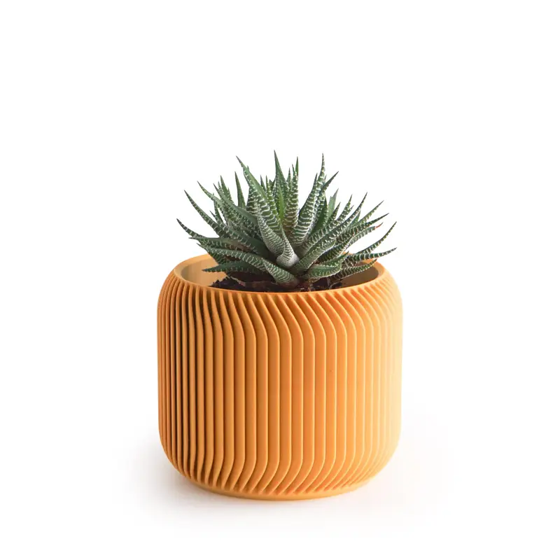 3D-Printed Planter - 3"