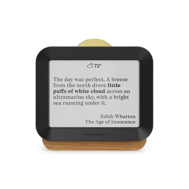 Author Forecast Digital Weathervane - Large