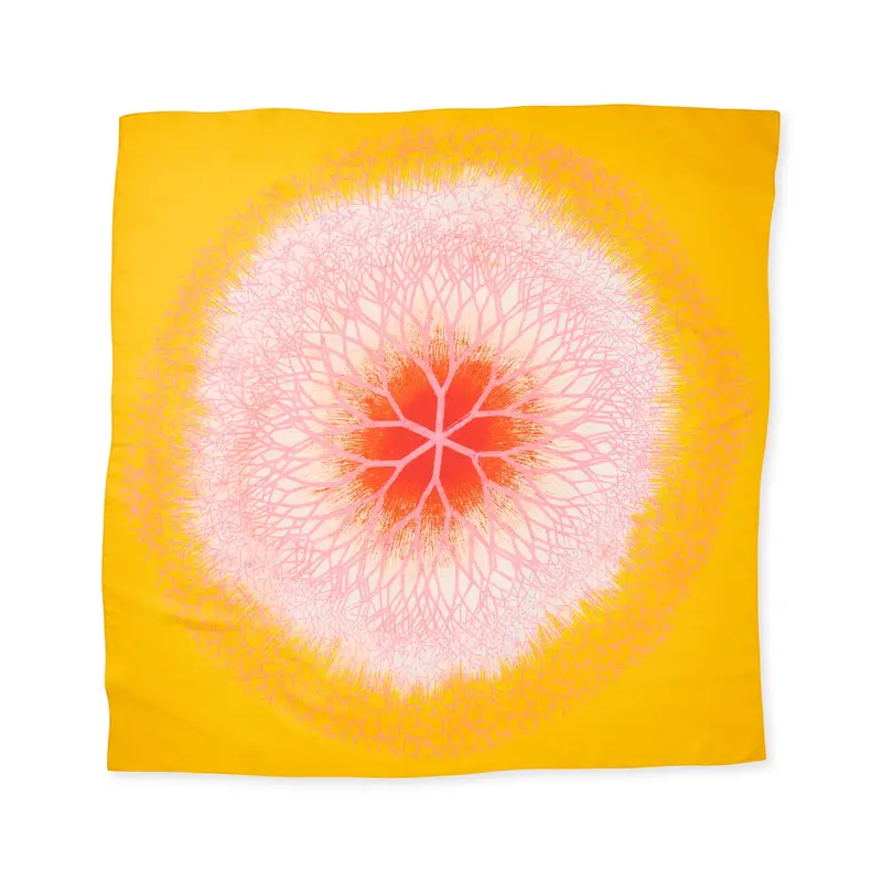 Ruth Asawa Desert Plant Silk Scarf