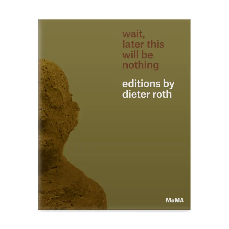 Wait, Later This Will Be Nothing: Editions by Dieter Roth - Paperback