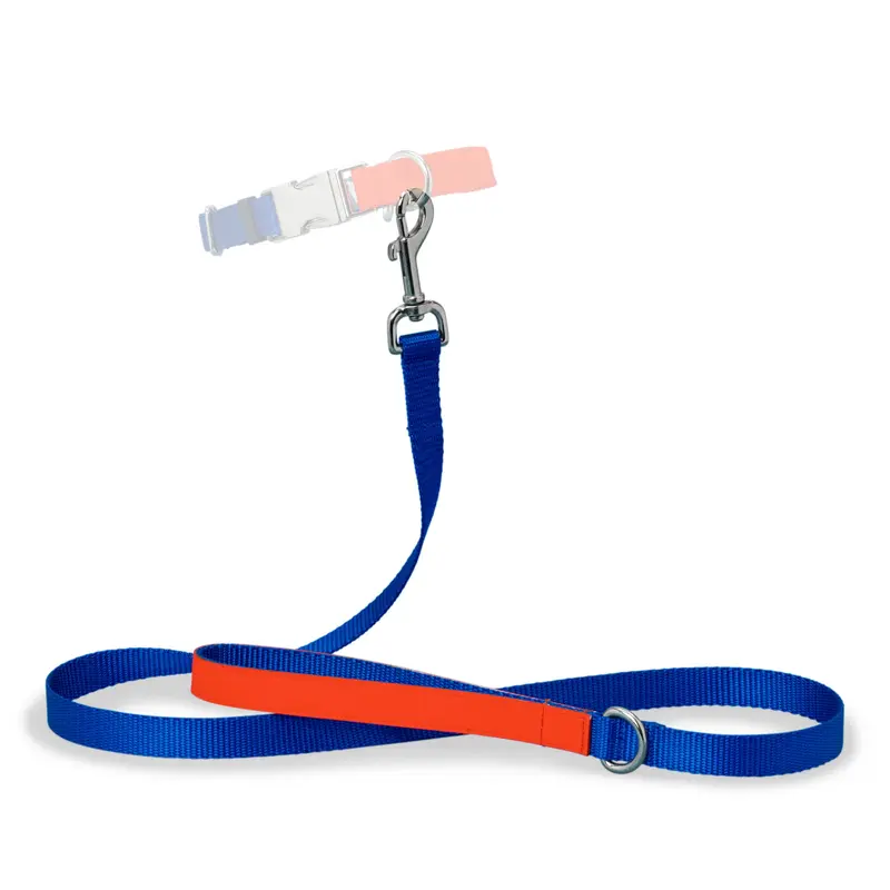 Ware of the Dog Colorblock Nylon Leash
