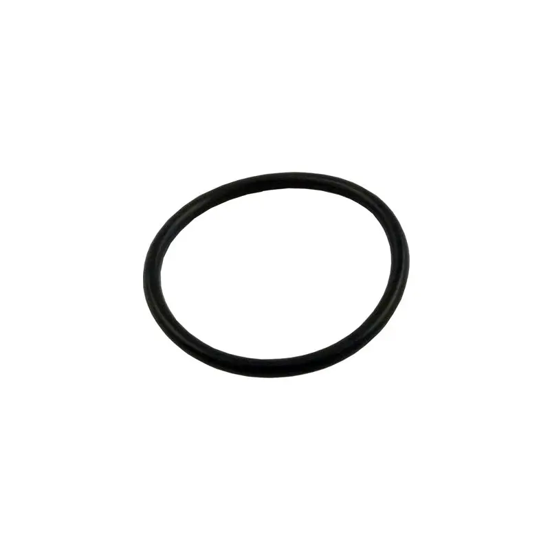 Waterway 805 0224 O-Ring Fitting