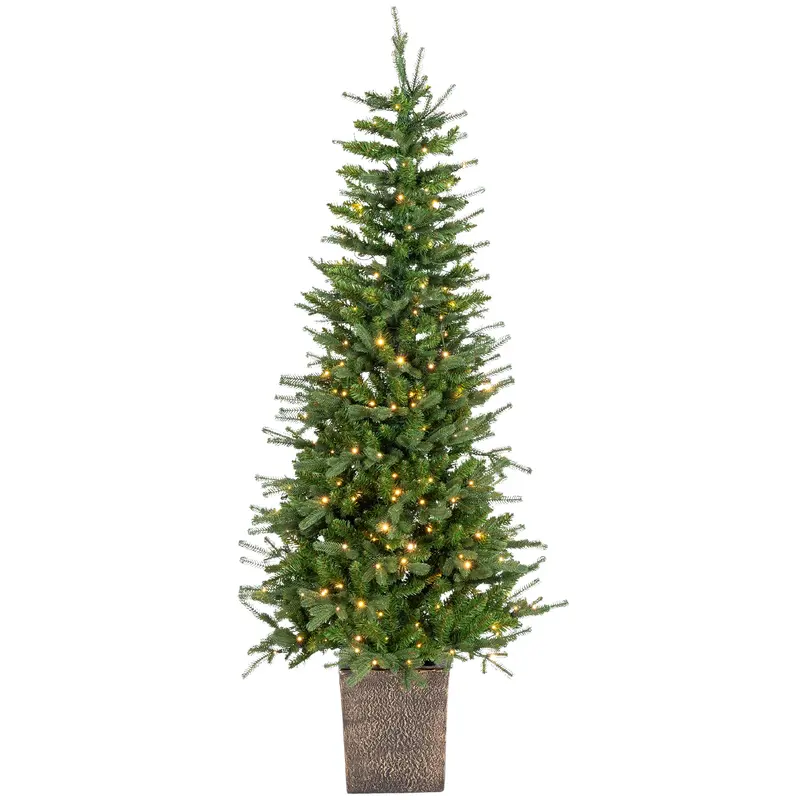 6' Potted Kentucky Fir with Color Changing LED Lights