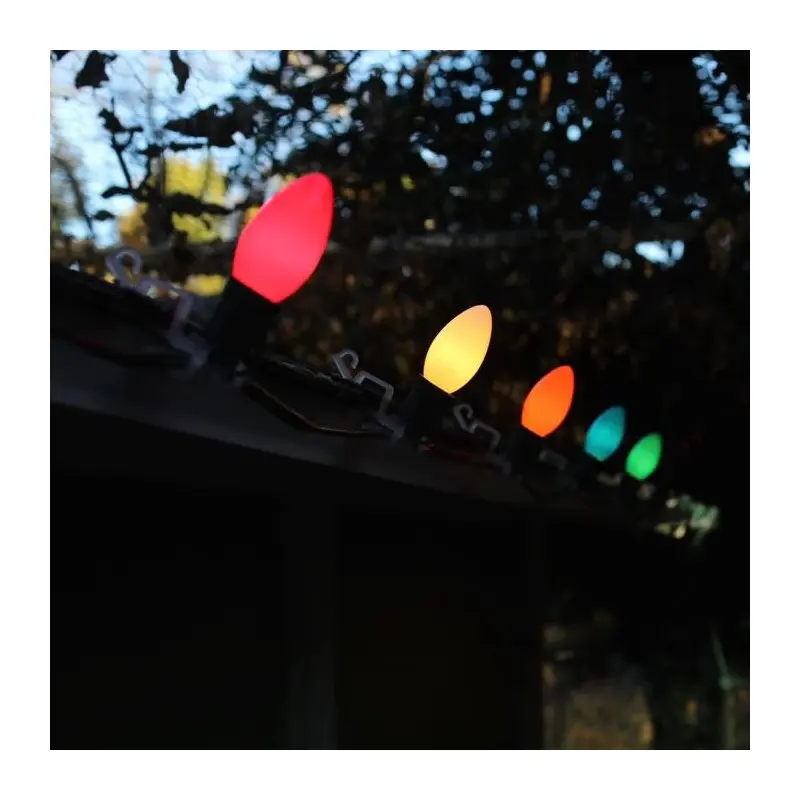 Set of 25 Classic C9 LED Lights