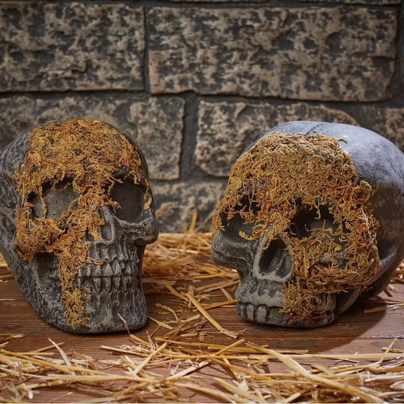 Moss Covered Skull Decoration