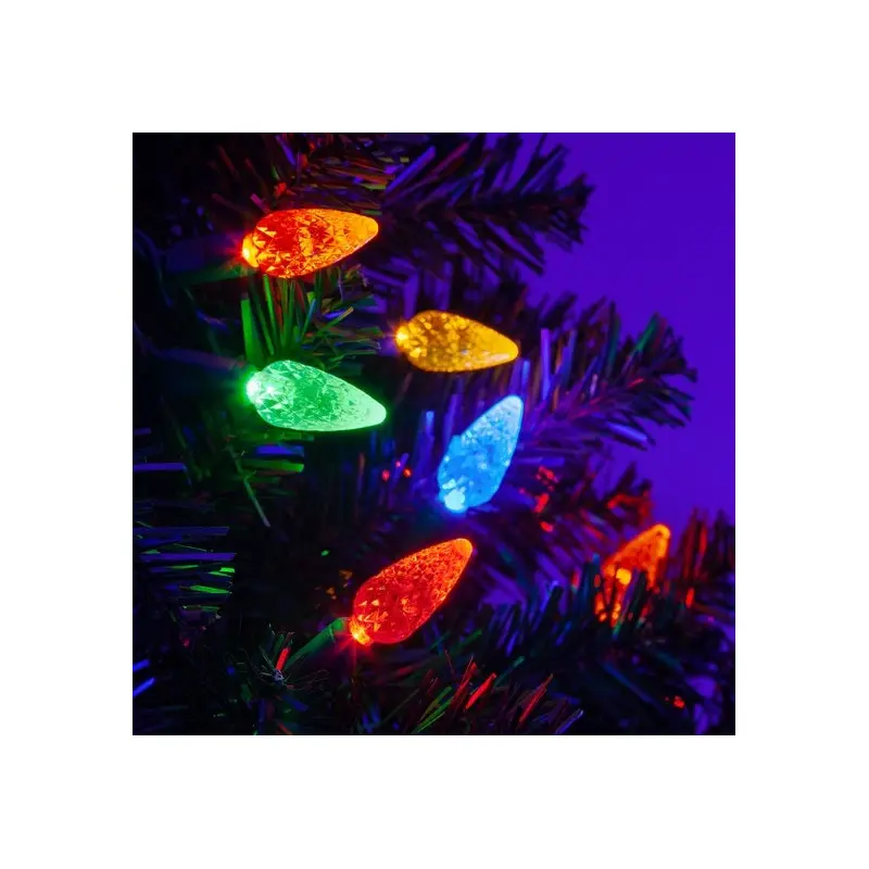 Set of 100 C6 LED Lights