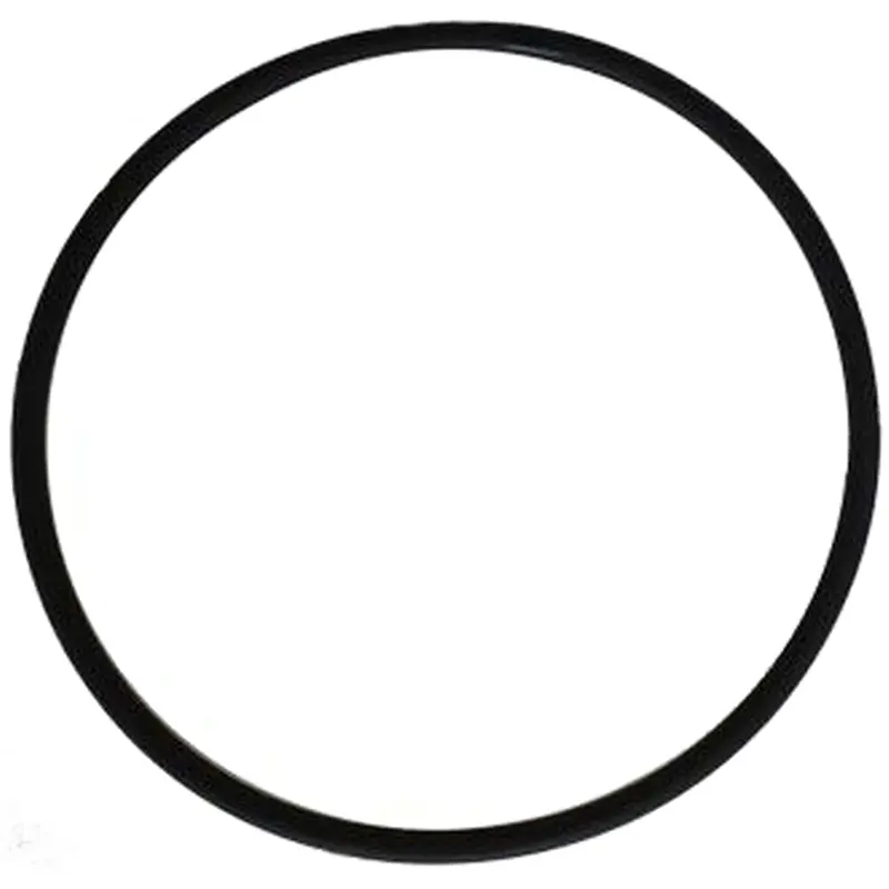 O-Ring For Pool Frog Above Ground Caps