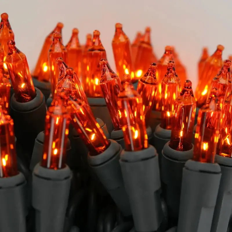 Set of 100 Orange Halloween Lights on a Black Wire