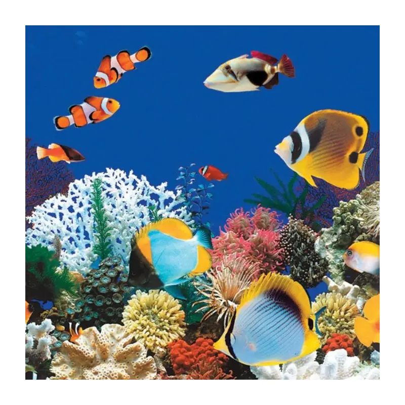 48"-54" Caribbean Above Ground Swimming Pool Overlap Liner