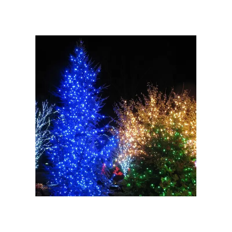 Set of 100 Mini LED Christmas Lights