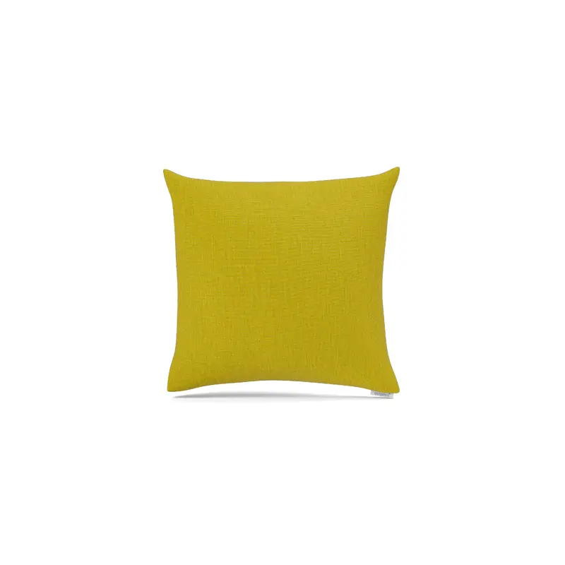 Cast Citrus / Platform Cloud Pillow