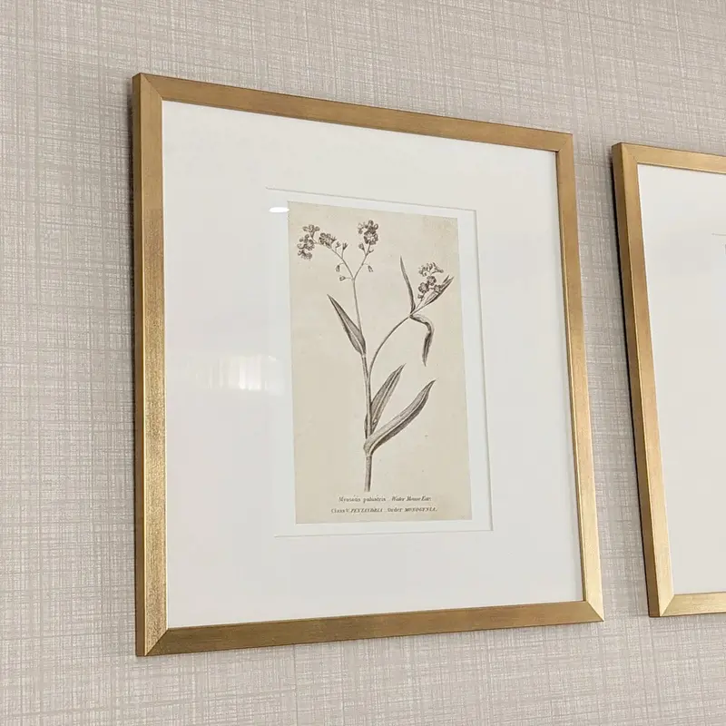 Diana Gold Framed Neutral Flower Wall Art - I