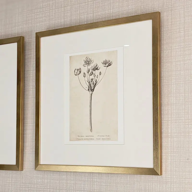 Diana Gold Framed Neutral Flower Wall Art - II