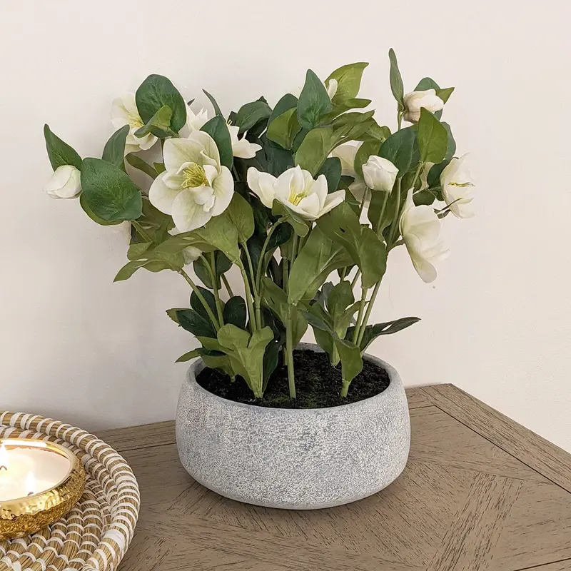 Faux White Hellebore Plant in Stone Pot