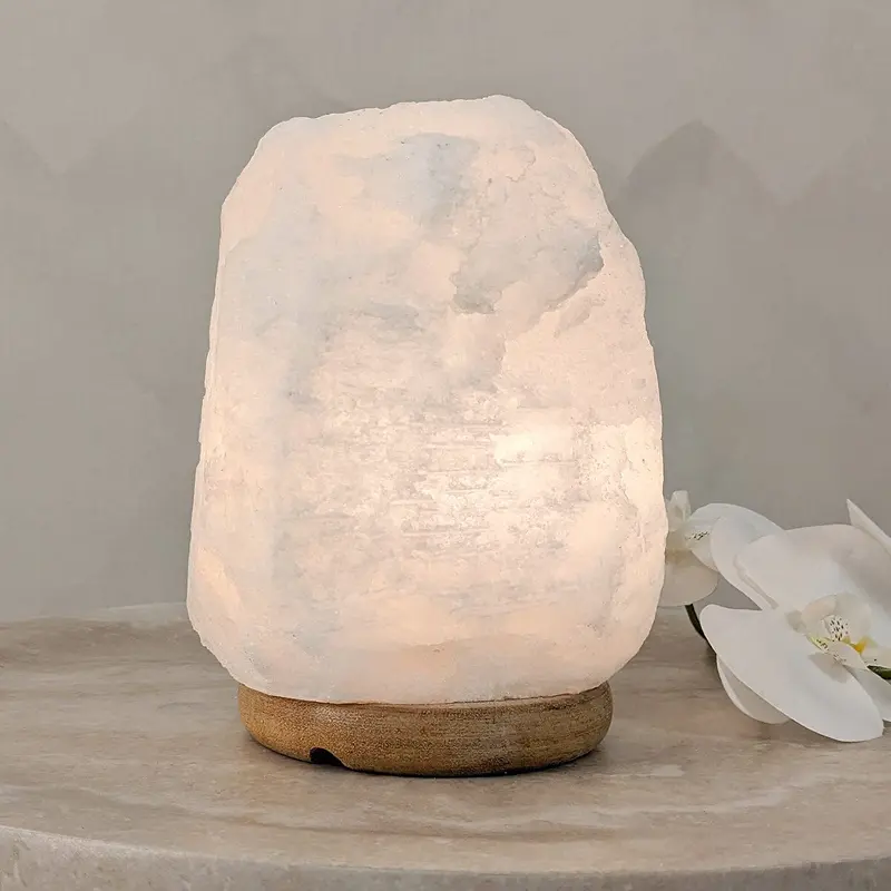 Revive White Natural Salt Lamp on Wooden Base