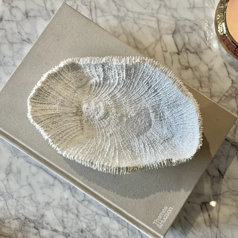 Darcey White Faux Coral Textured Decorative Dish