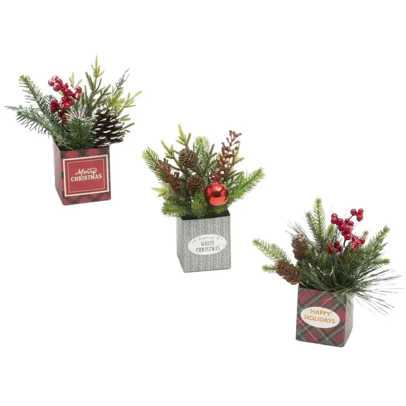 8" Holiday Potted Pine Dcor Box