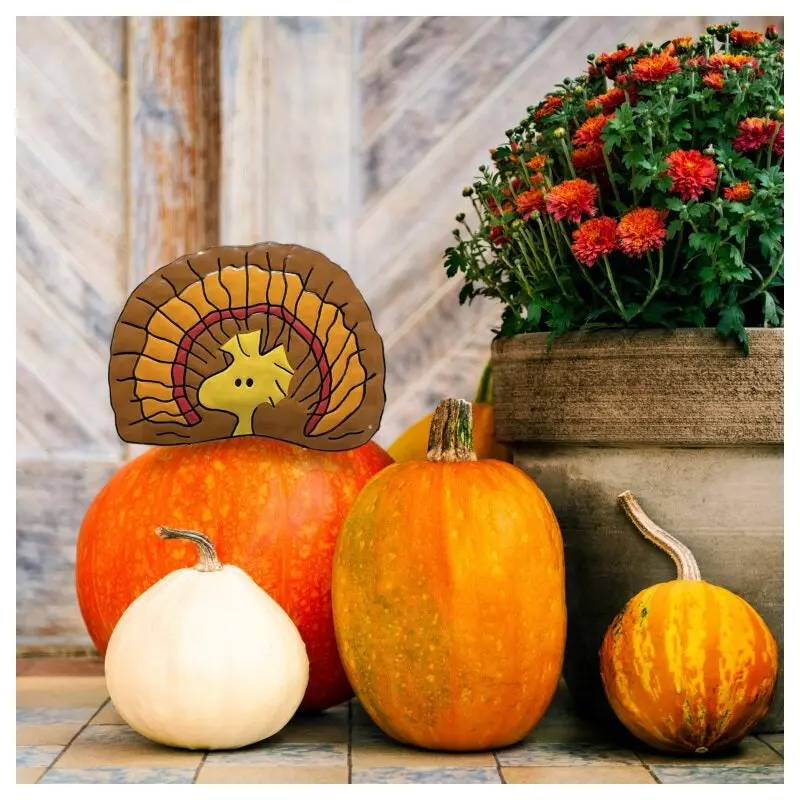 Peanuts Woodstock/Turkey Pumpkin Press-In Decoration
