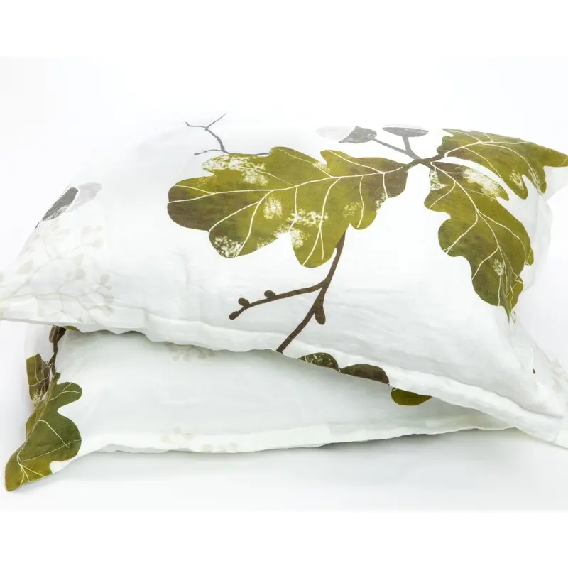 Organic European Linen Pillowcases (2) | Agern
