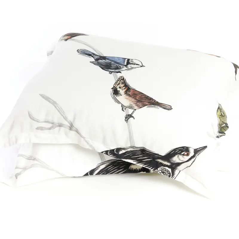 Organic European Linen Pillowcases (2) | Fugle