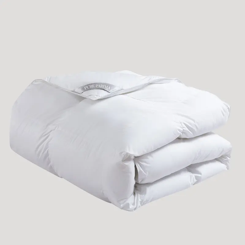 Down Duvet Insert