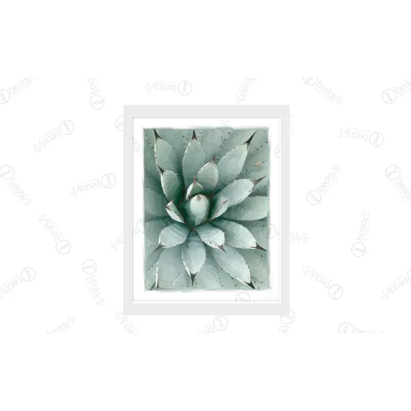 Painted Agave Artwork Download