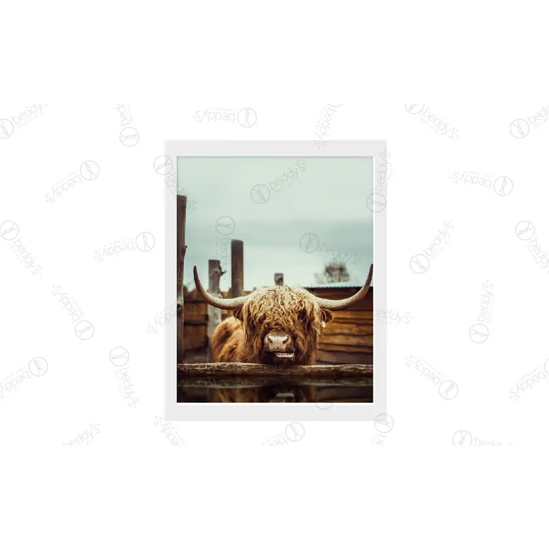 Steer Clear Artwork Download