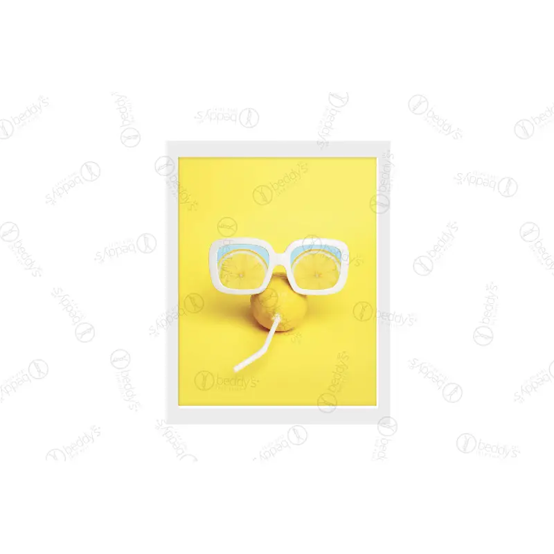 Life's a Lemon Artwork Download