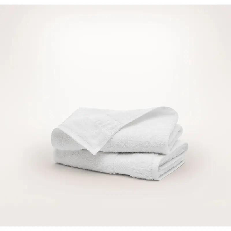 Plush Hand Towels (Pair) - White