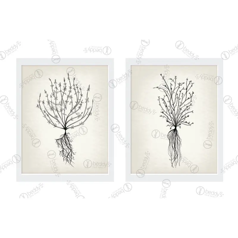 Roots Artwork Download