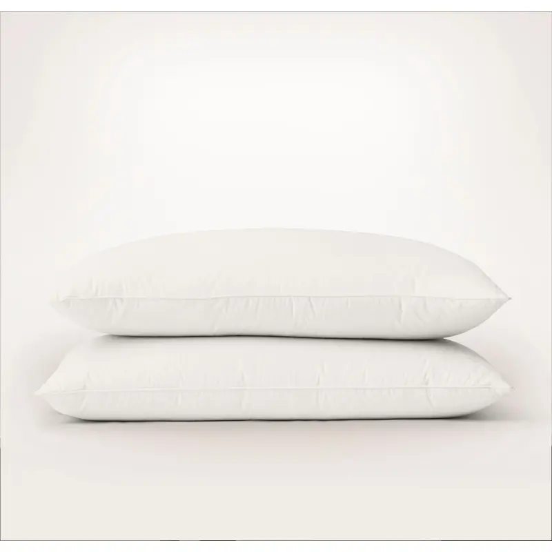 2-Pillow Starter Bundle