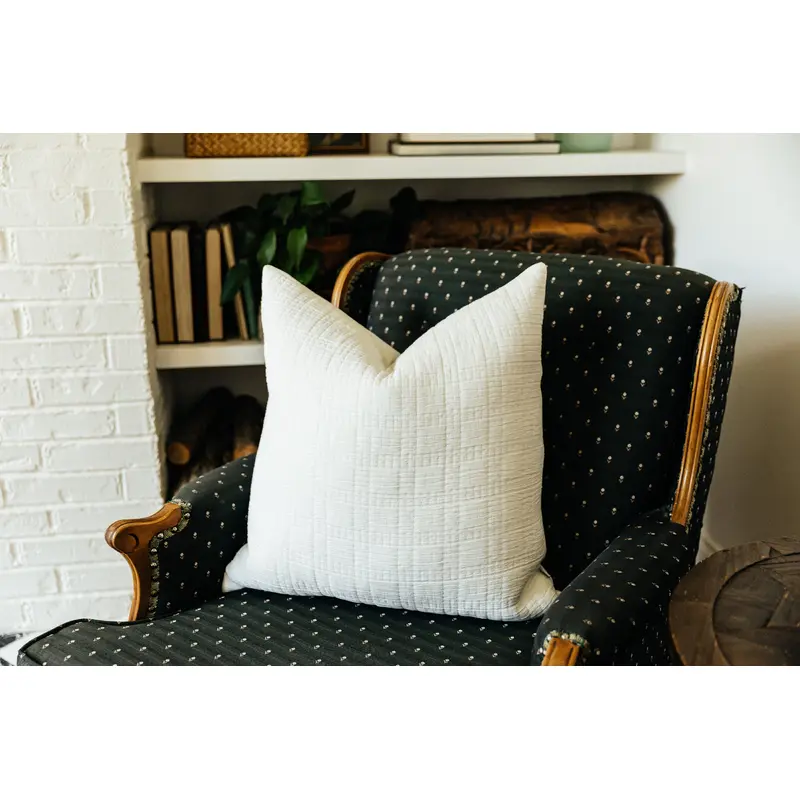 Anna Luxe Euro Pillow Cover