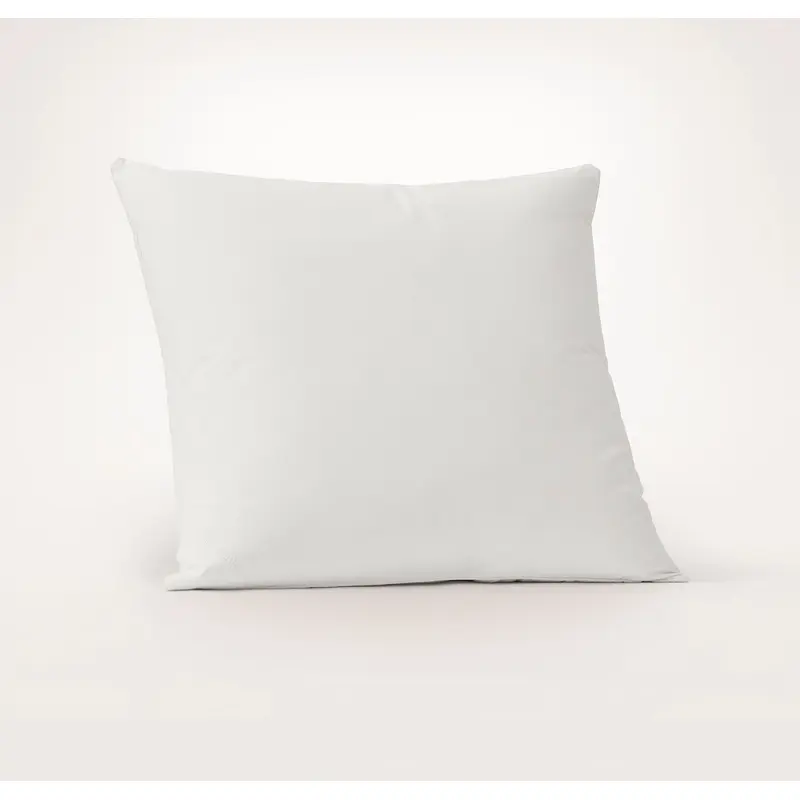 Feather Down Decorative Pillow Insert (22x22)