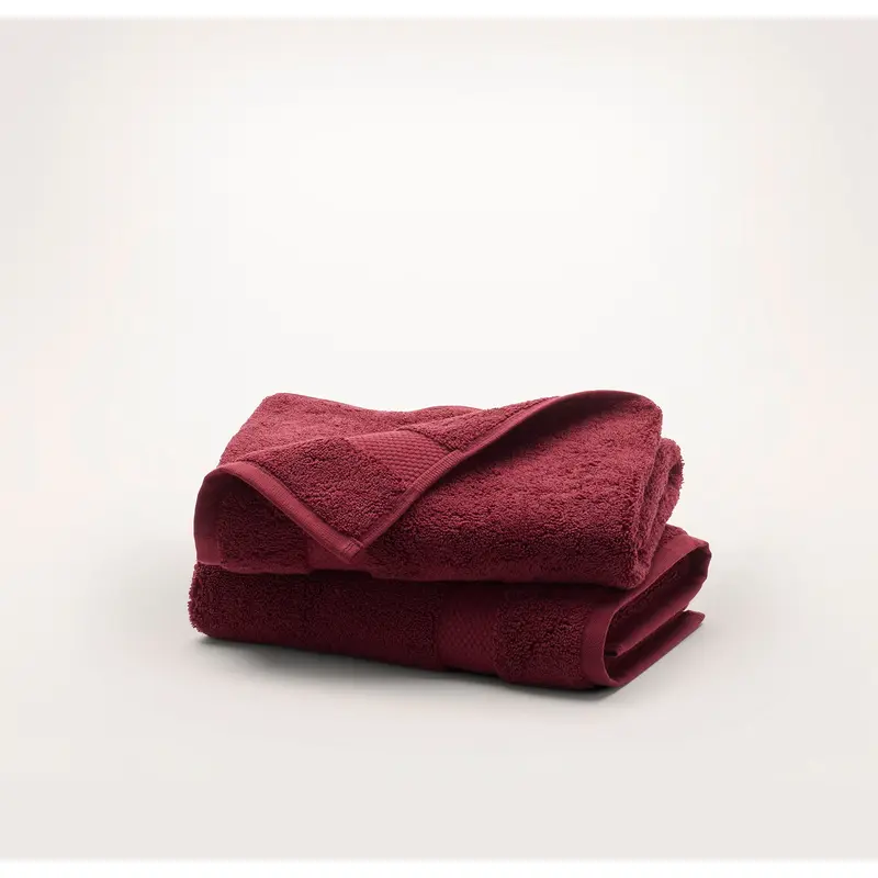 Plush Hand Towels (Pair) - Holly