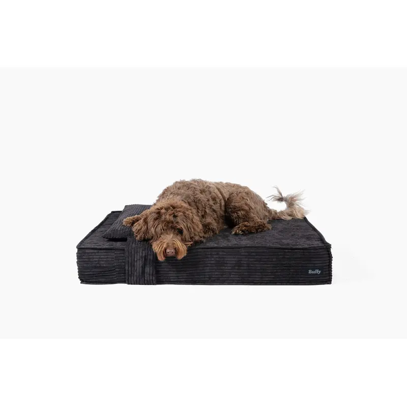 Orthopedic Pet Bed