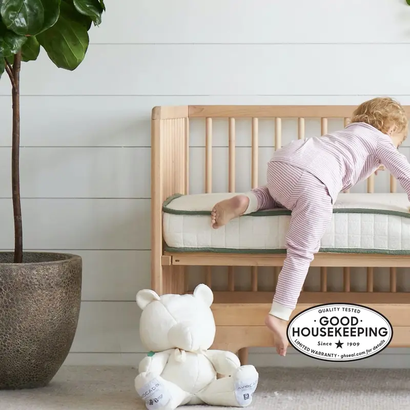 Organic Crib Mattress